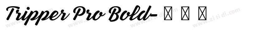 Tripper Pro Bold字体转换